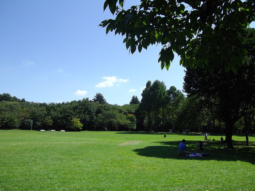 Sainomori Iruma Park