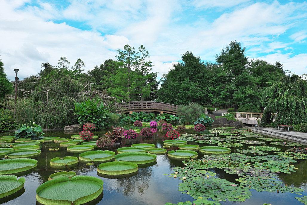 Kusatsu Aquatic Botanical Garden
