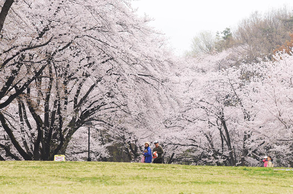 Sayama Inariyama Park