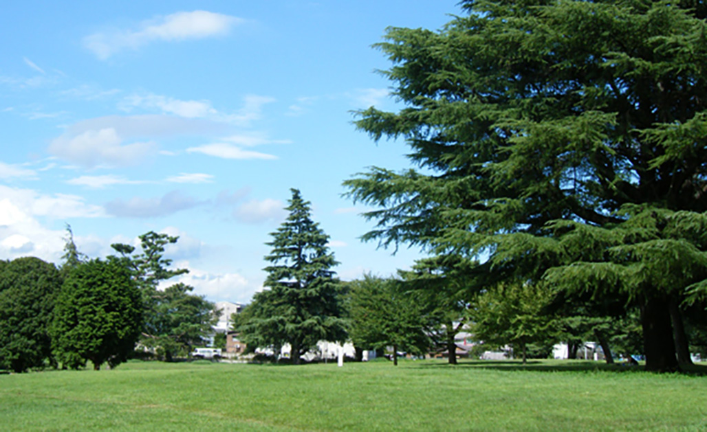 Sayama Inariyama Park