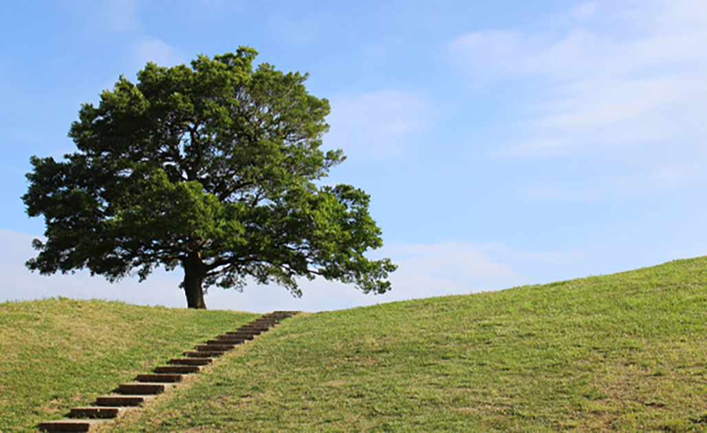 Shimizugaoka Park