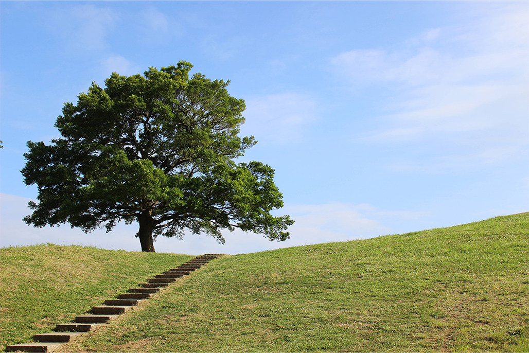 横浜市 清水ケ丘公園