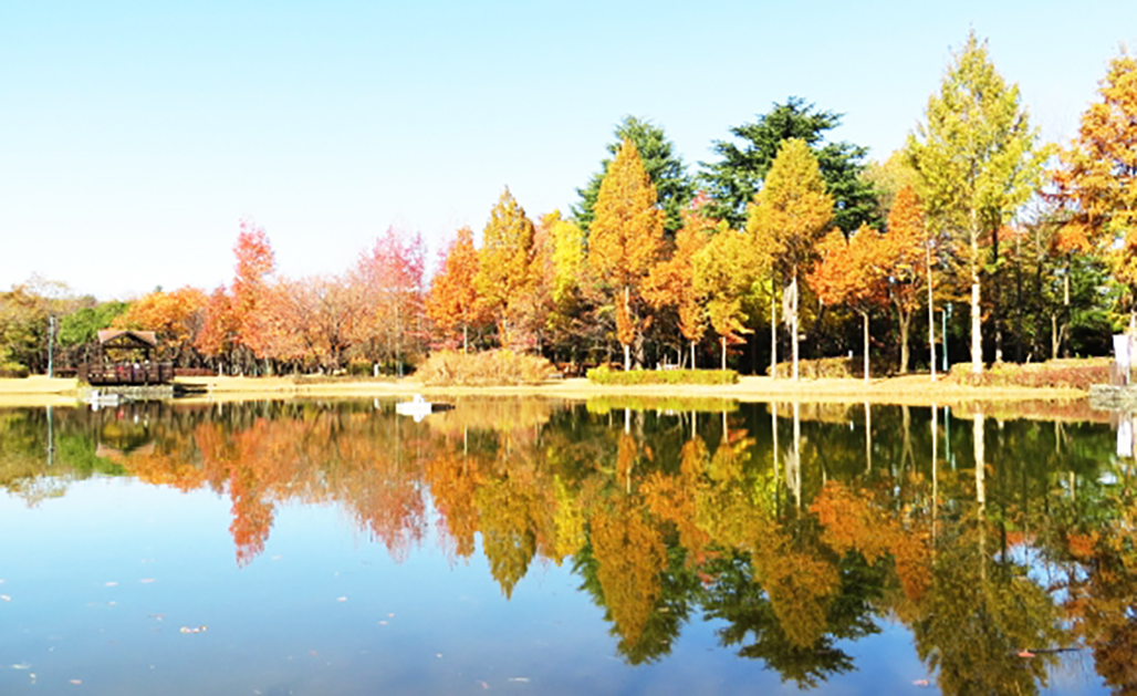 Sainomori Iruma Park