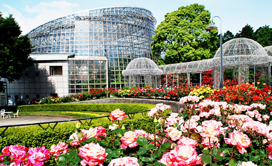 Odawara Flower Garden