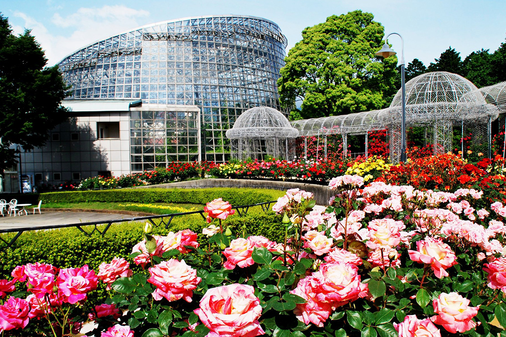 小田原フラワーガーデン