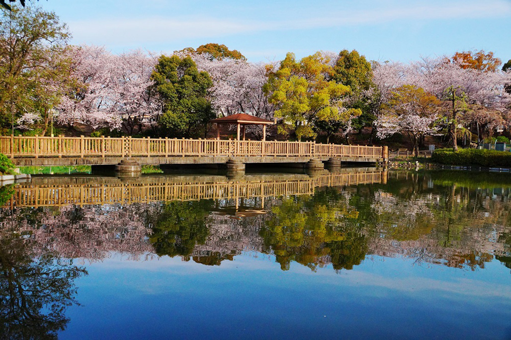 Toyoake City cemetery and city parks.