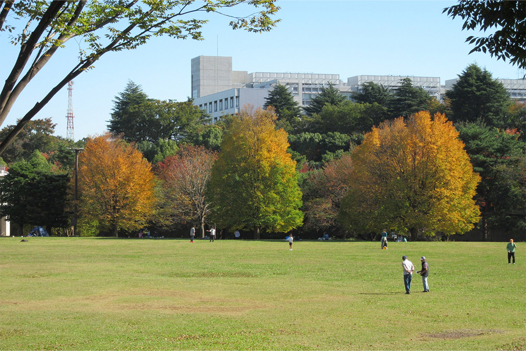 埼玉県営 和光樹林公園