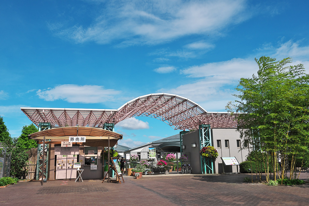 Kusatsu Aquatic Botanical Garden