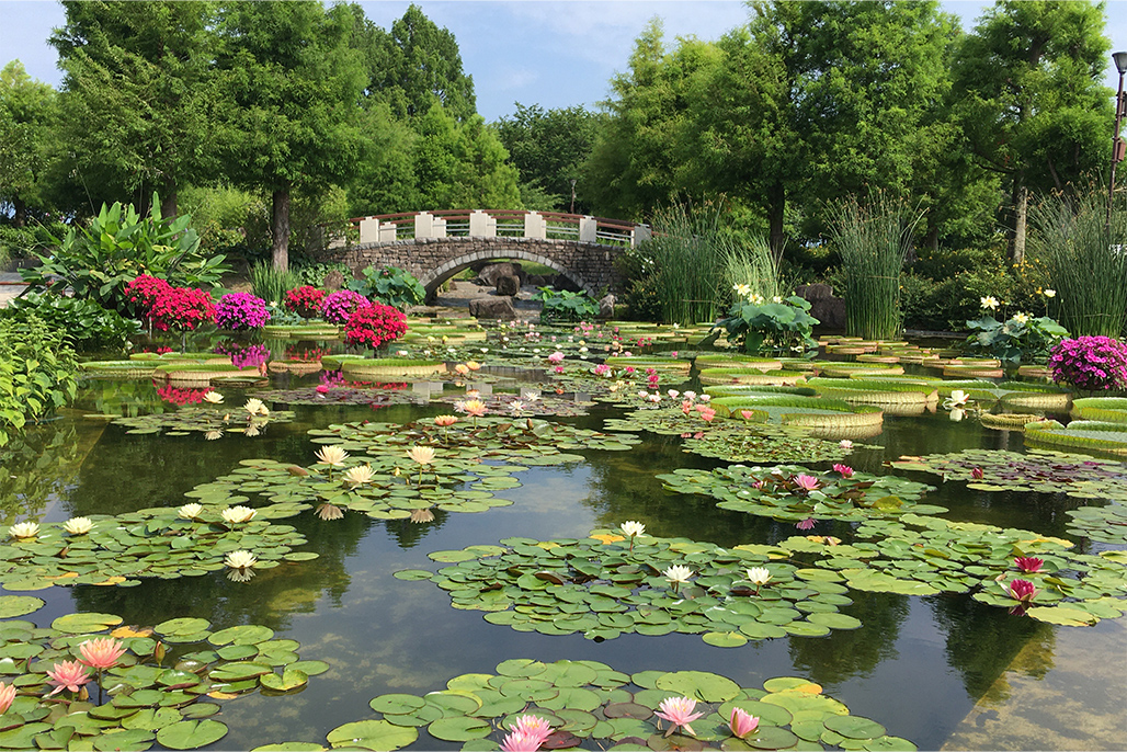 草津市立 水生植物公園みずの森
