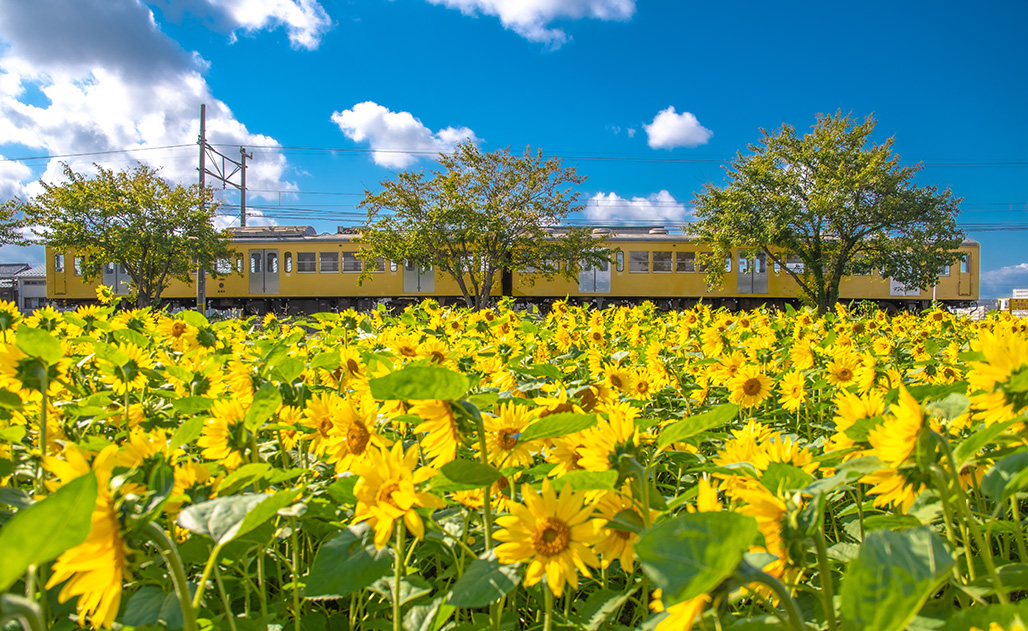 Toriimoto Station