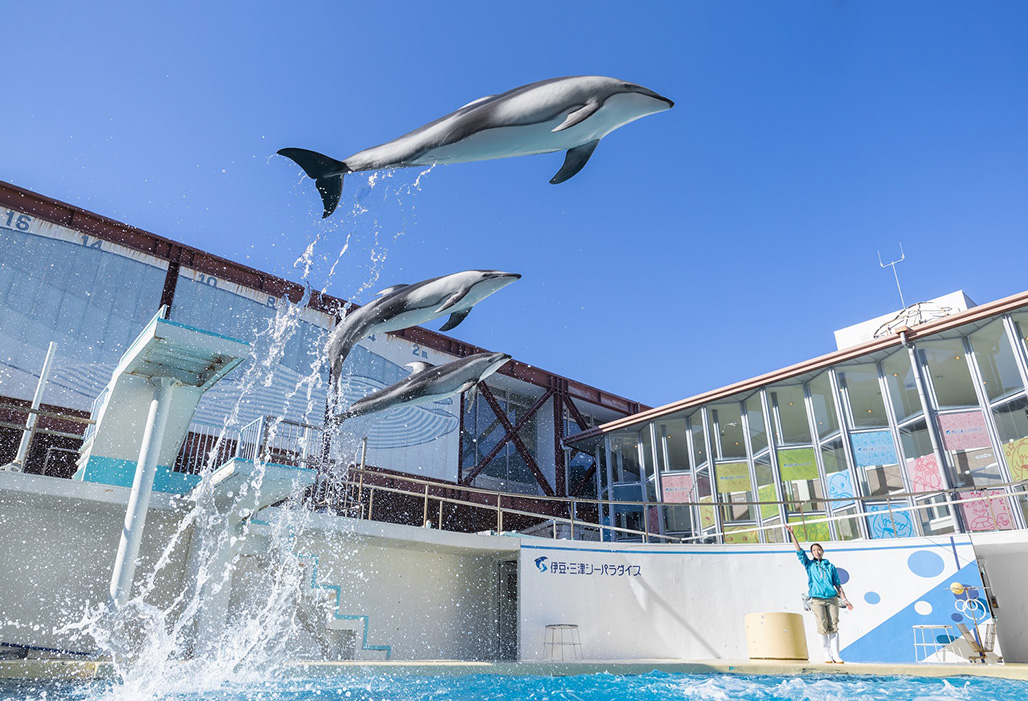 Izu Mito Sea Paradise