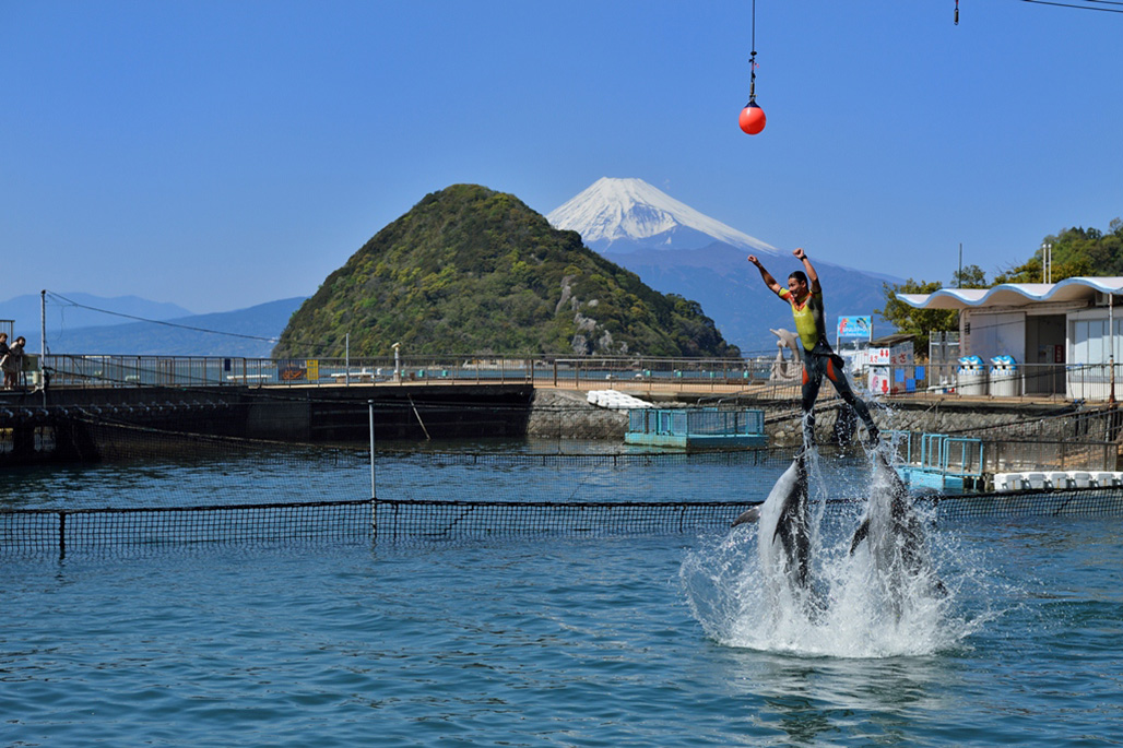 Izu Mito Sea Paradise