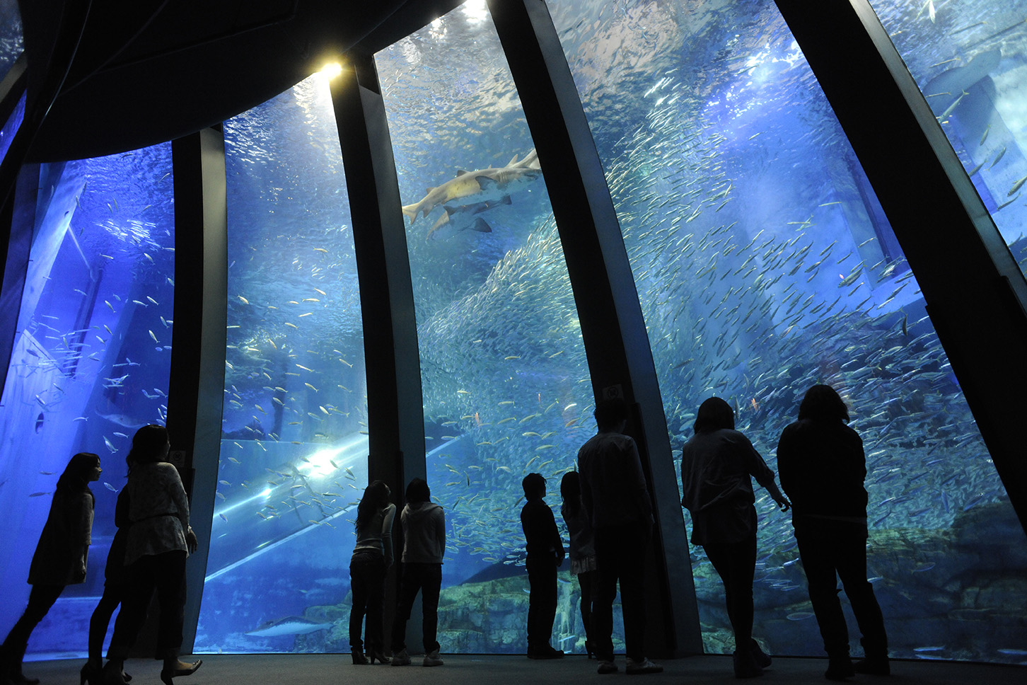 Yokohama Hakkeijima Sea Paradise