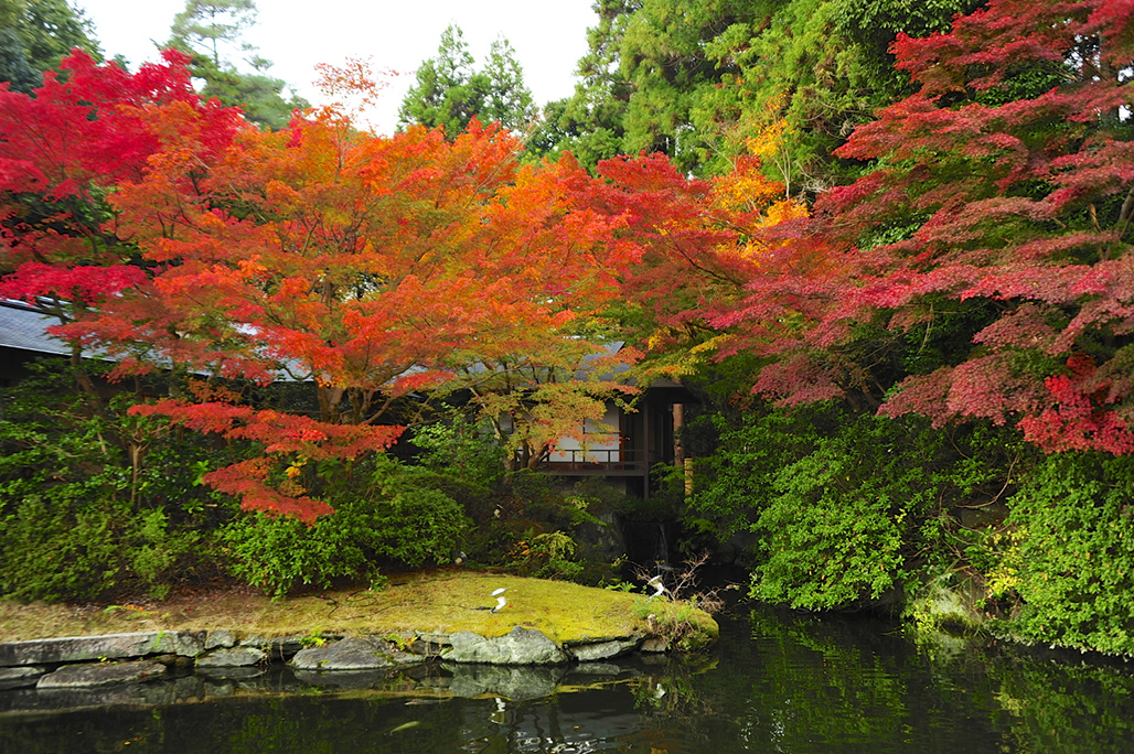 The Prince Kyoto Takaragaike