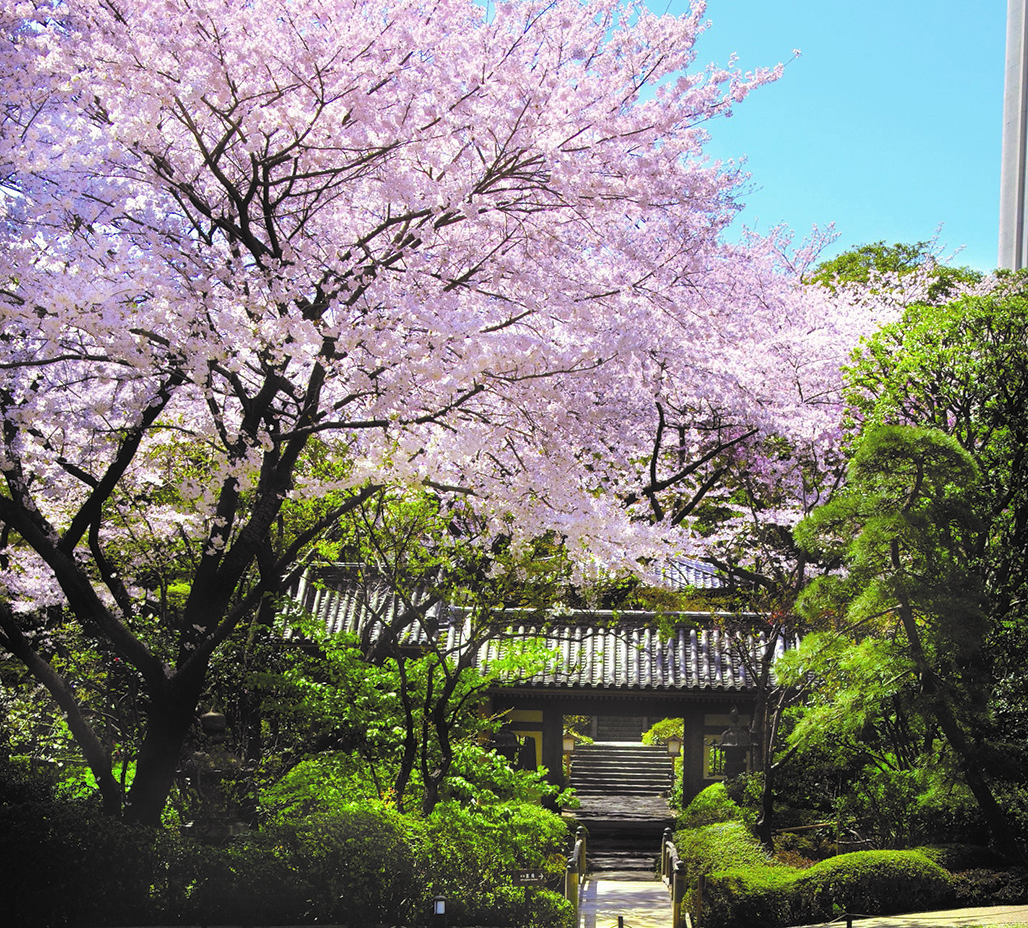 Grand Prince Hotel Takanawa