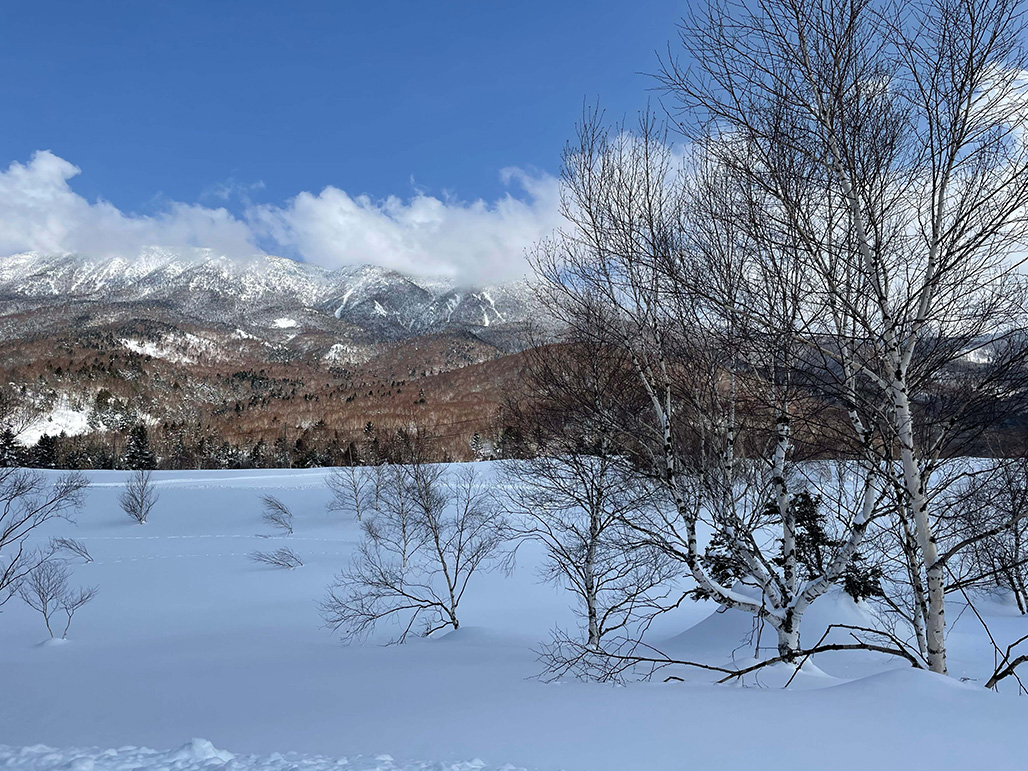 Shiga Kogen Prince Hotel