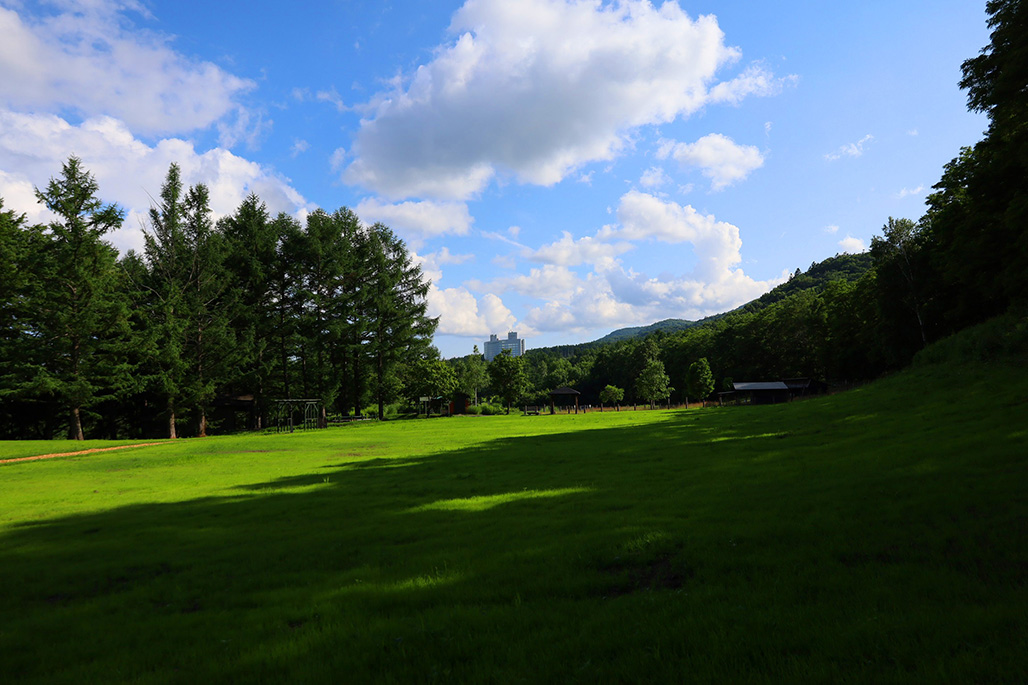 Shin Furano Prince Hotel