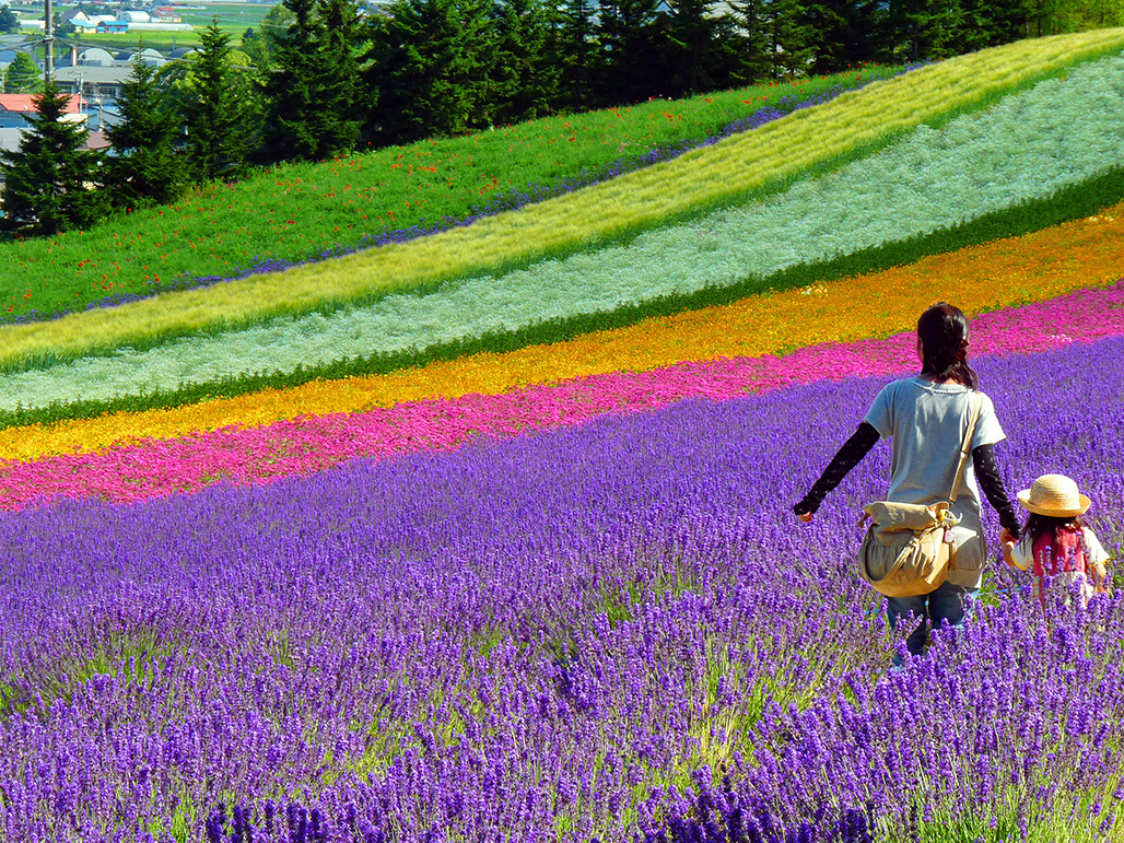 Shin Furano Prince Hotel