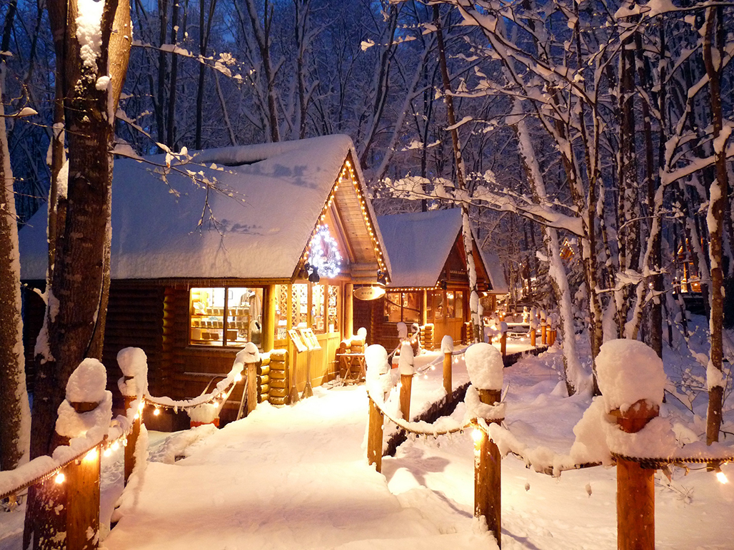 Shin Furano Prince Hotel