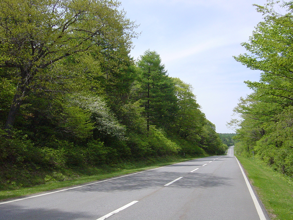 ONIOSHI highway / MANZA highway