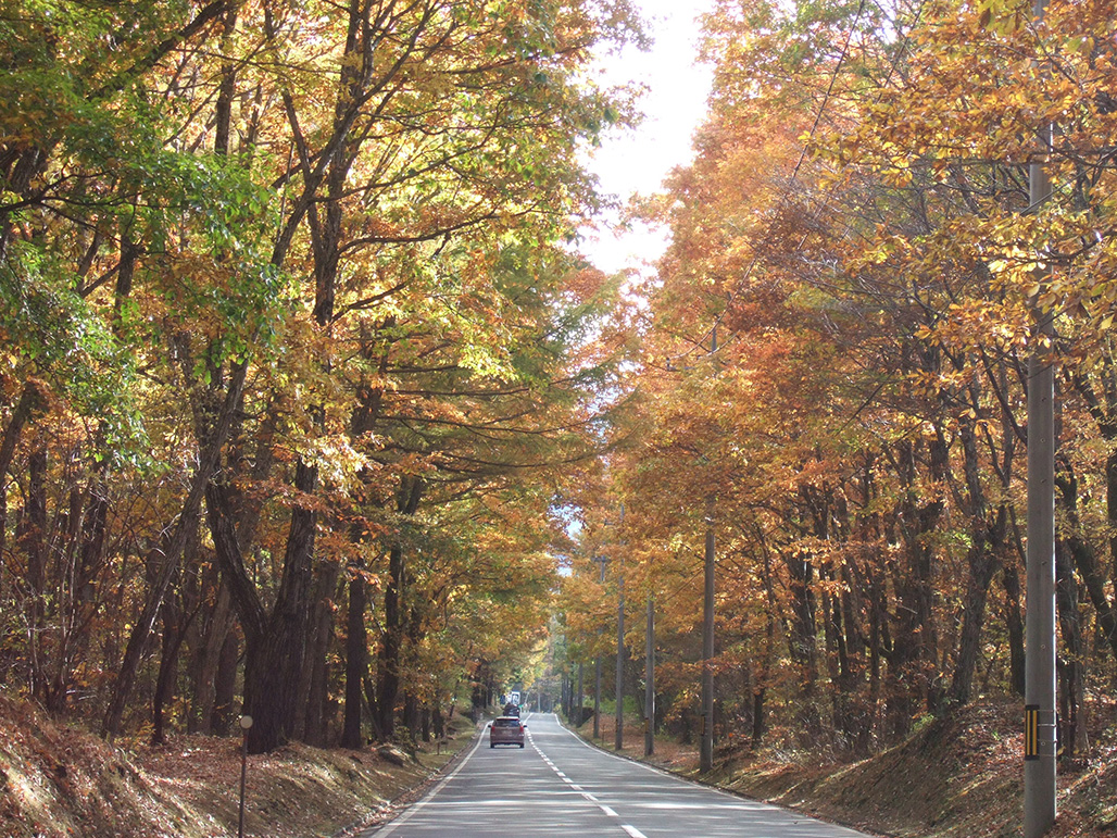 ONIOSHI highway / MANZA highway