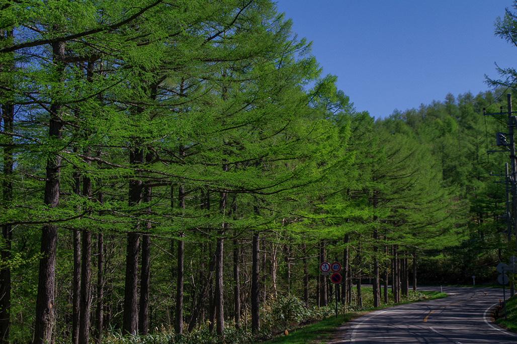 ONIOSHI highway / MANZA highway