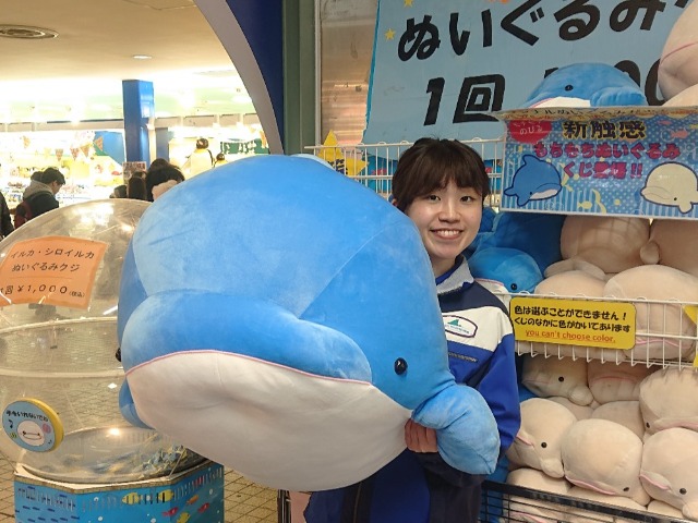 第21回目 横浜 八景島シーパラダイス内のショップ フレンディア と ジンベエshop の店長を務める 本平佳奈 ホンタイラ カナ さんです