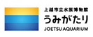 上越市水族海物館 うみがたり JOETSU AQUARIUM