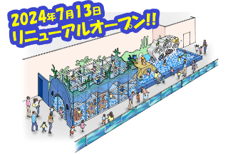 ライオンズベースボールスクール7点セット （イベント・プラン