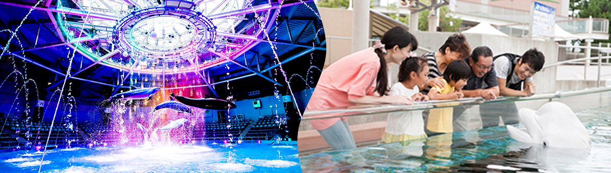 水族館 こども応援プロジェクト Seibu Group