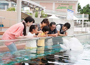 水族館 こども応援プロジェクト Seibu Group 水族館 こども応援プロジェクト Seibu Group