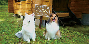 はこだて大沼わんわんコテージ