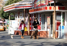 ワンちゃんと入園できるパーク