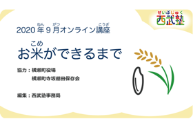 西武塾 2020年9月オンライン講座 お米ができるまで