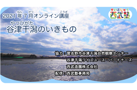 西武塾 2021年7月オンライン講座 「谷津干潟のいきものについて」