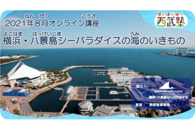 西武塾 2021年8月オンライン講座 「横浜・八景島の海のいきものについて」