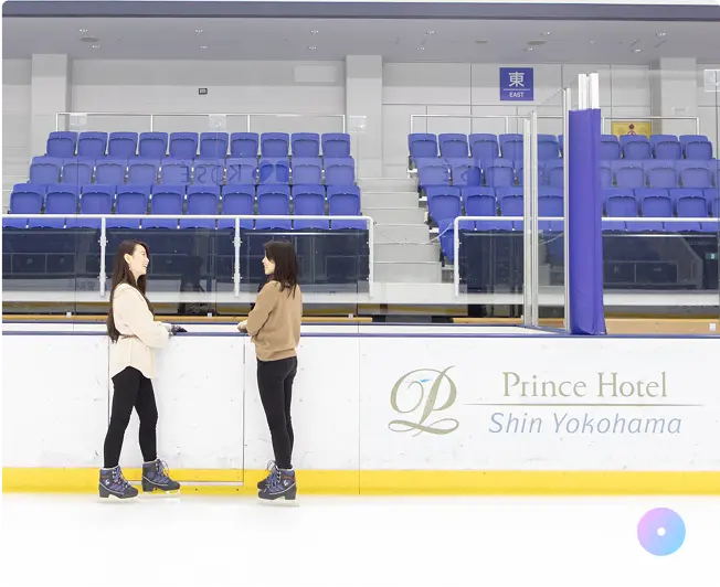 ICE SKATE LINK